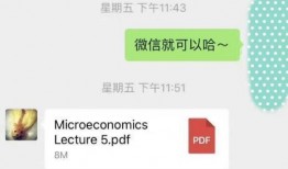 微信爆料师姐视频,揭秘校园生活幕后真相